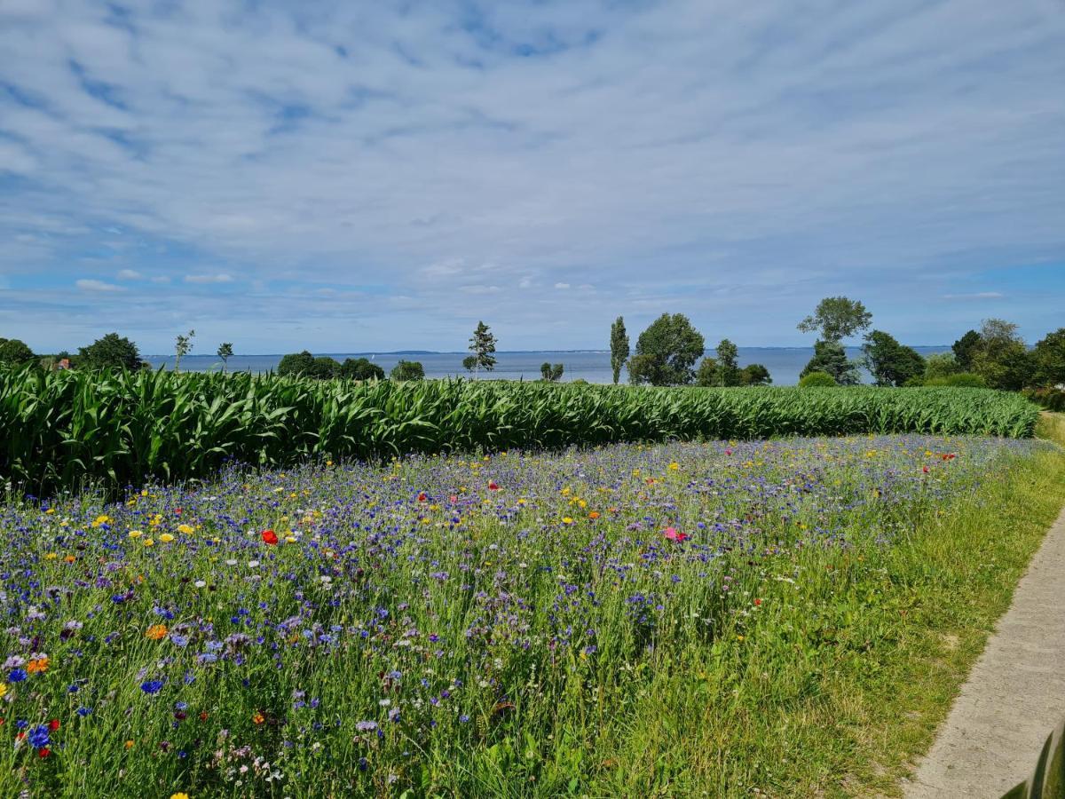Apartmán Kiekutsland Westerholz Exteriér fotografie