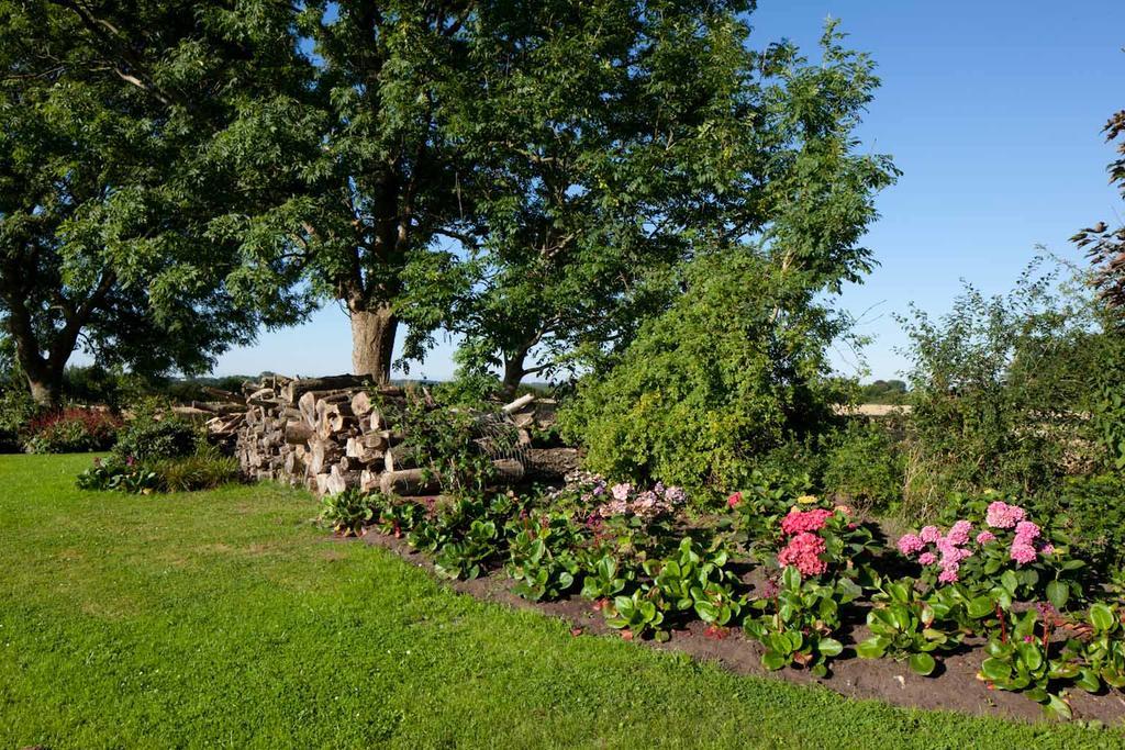 Apartmán Kiekutsland Westerholz Exteriér fotografie