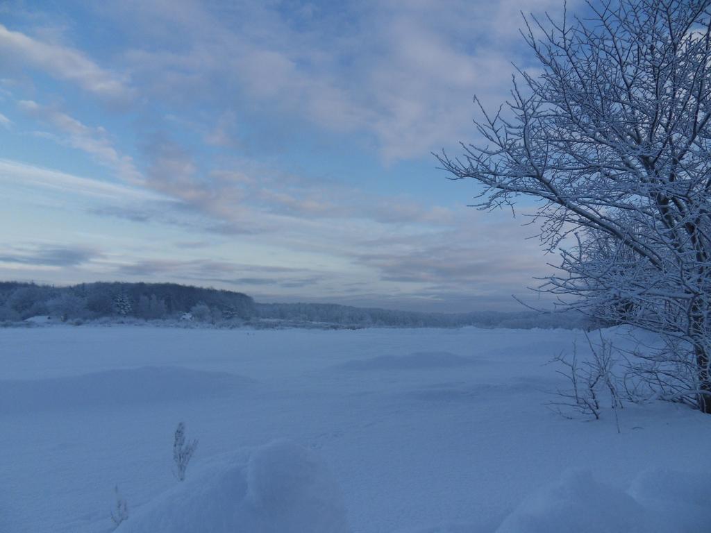 Apartmán Kiekutsland Westerholz Exteriér fotografie
